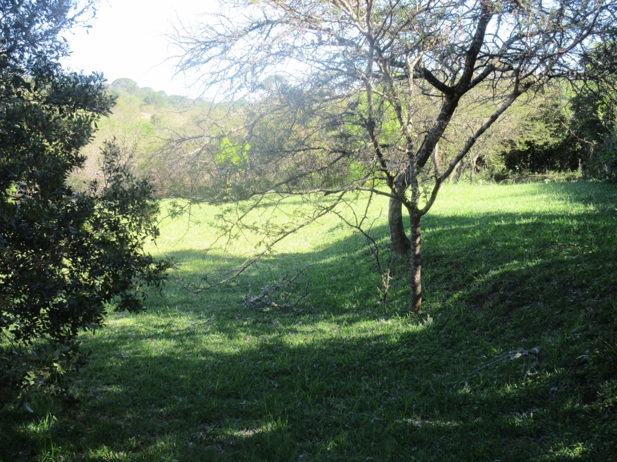 0 Bedroom Property for Sale in Bathurst Eastern Cape